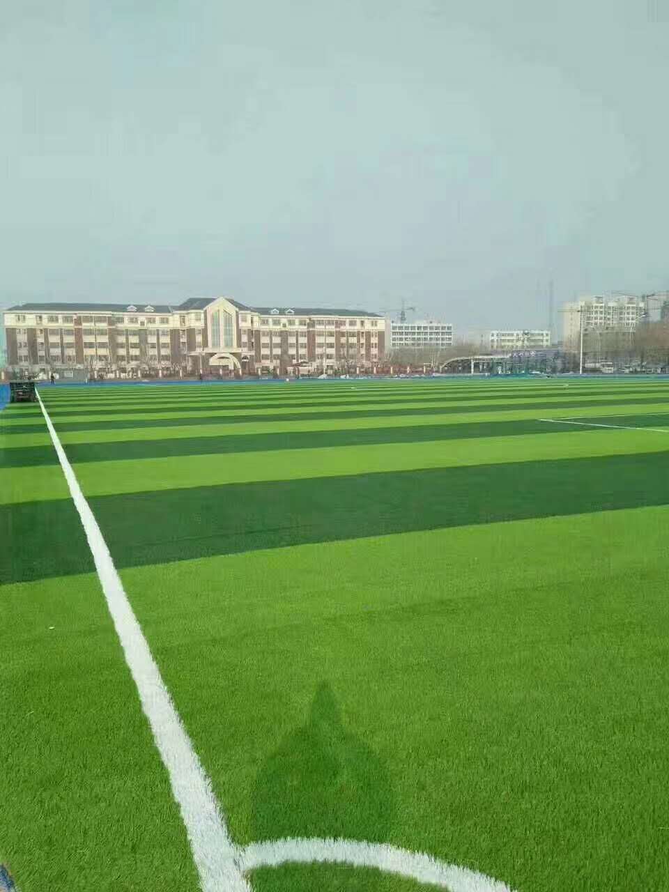 日照市新国标塑胶跑道仿真草坪 - 排名